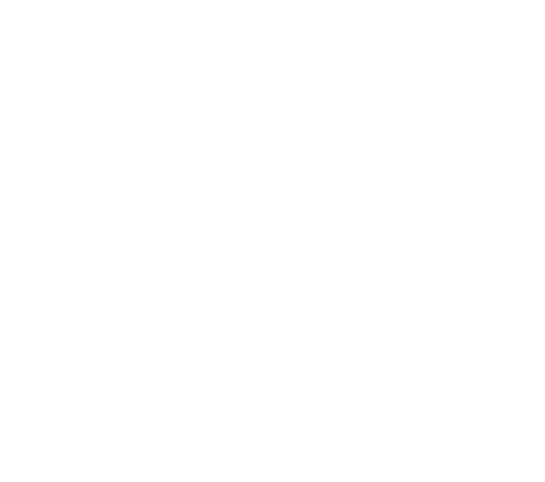 Berlingo